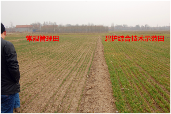 ļZِM(jn)չՄ(dng)µС